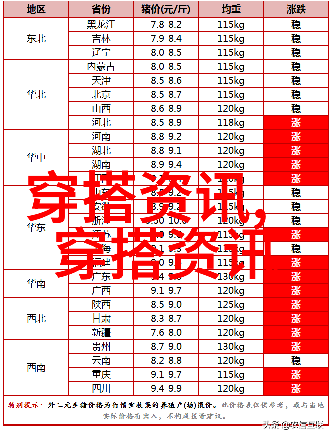 图5: 高级皮革edge eye glasses